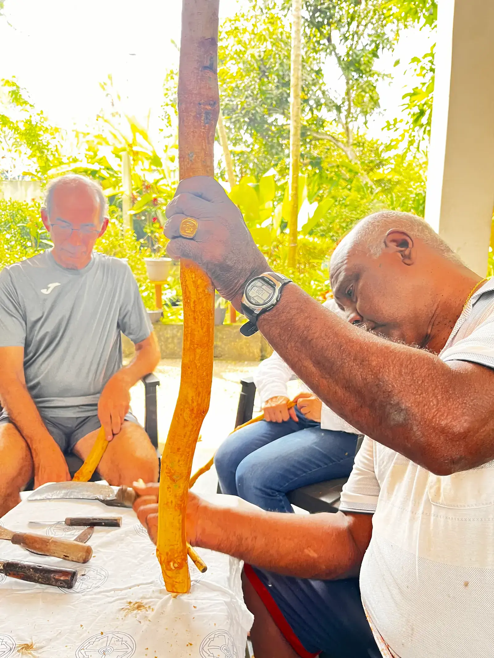 Einheimischer Kursleiter zeigt die vertikale Zimtrindenschabtechnik den Teilnehmern