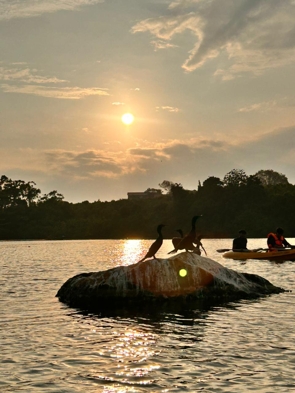 Kayak experience in Rathgama Lagoon Sri Lanka