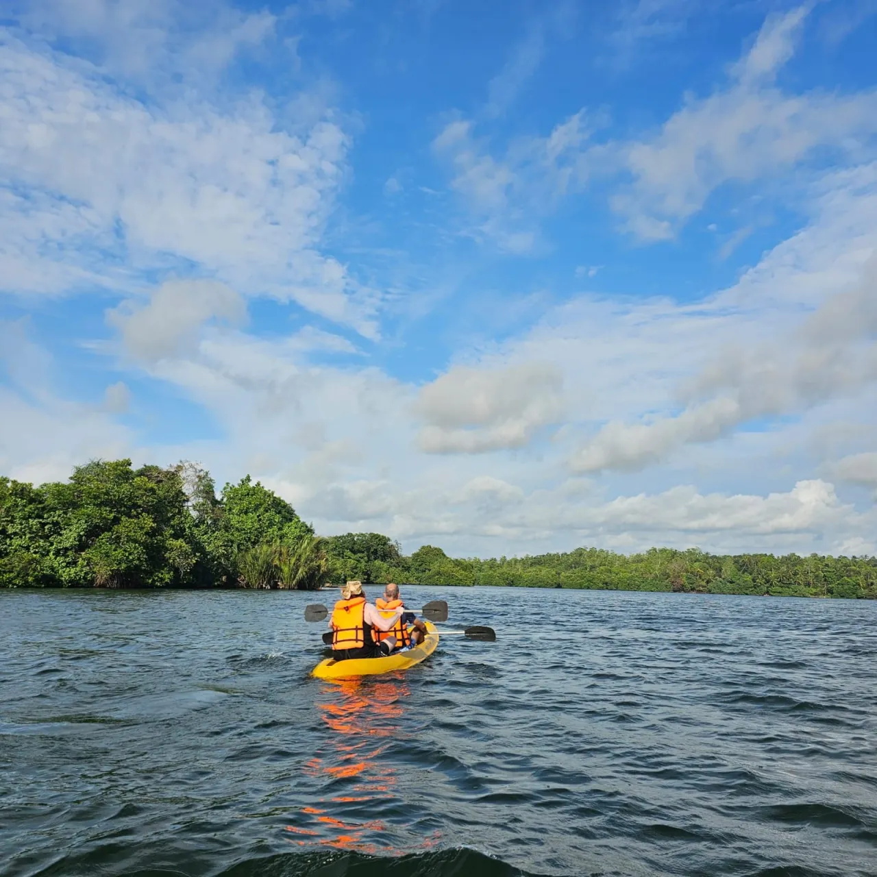 Couple kayaking toward a lush mangrove island on Rathgama Lagoon under a blue sky