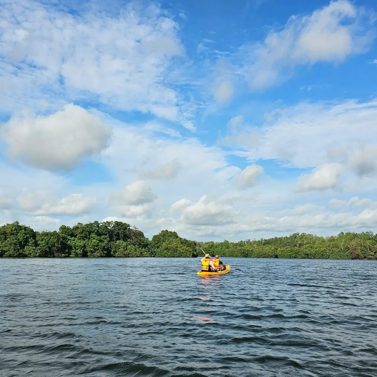 Couple paddling a yellow tandem kayak toward the mangrove shoreline of Rathgama Lagoon