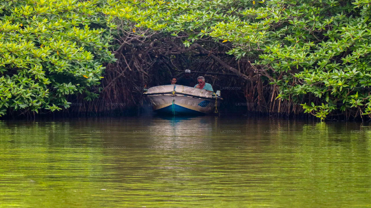 Boat safari on Madu River through mangrove forests, Sri Lanka