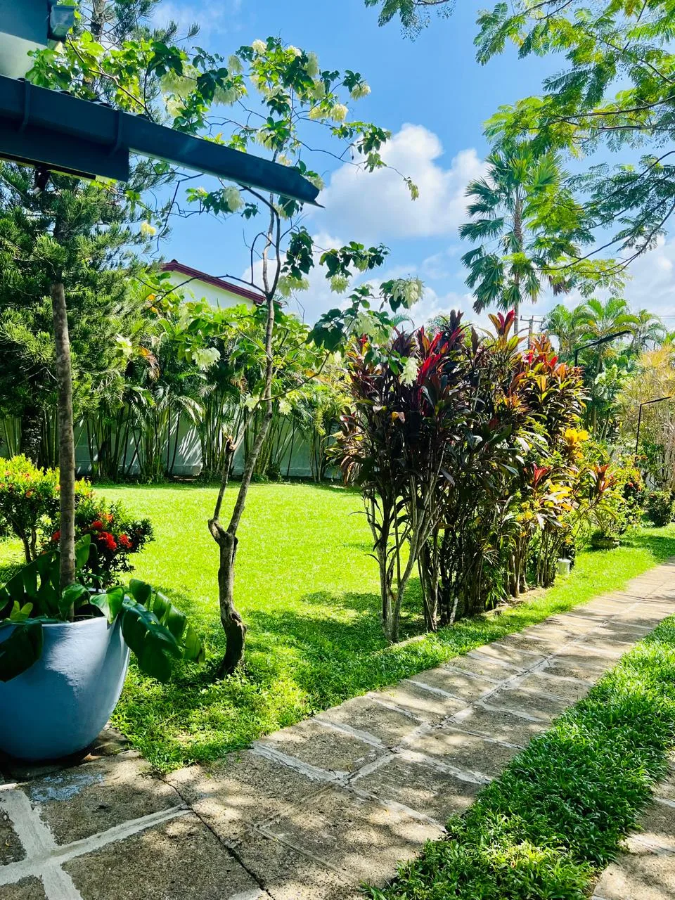 Entrance of Sterrling Villa with lush tropical surroundings in Hikkaduwa
