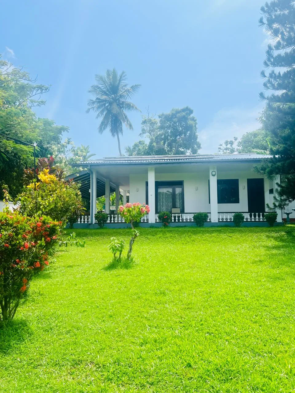 Sterrling Villa tropical garden with fruit trees and greenery