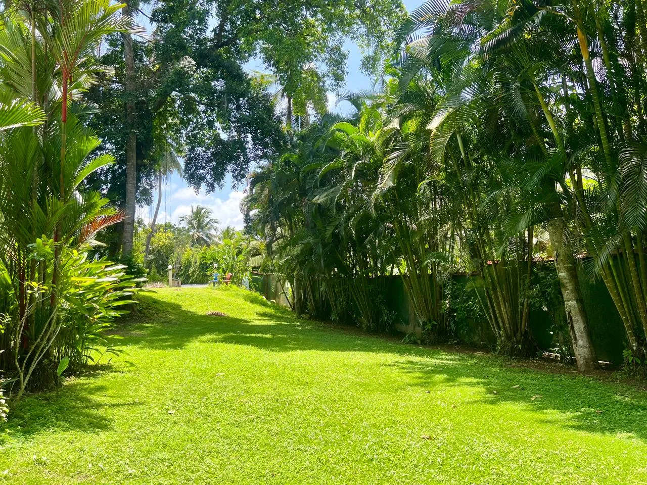 Sterrling Villa garden pathway surrounded by tropical plants