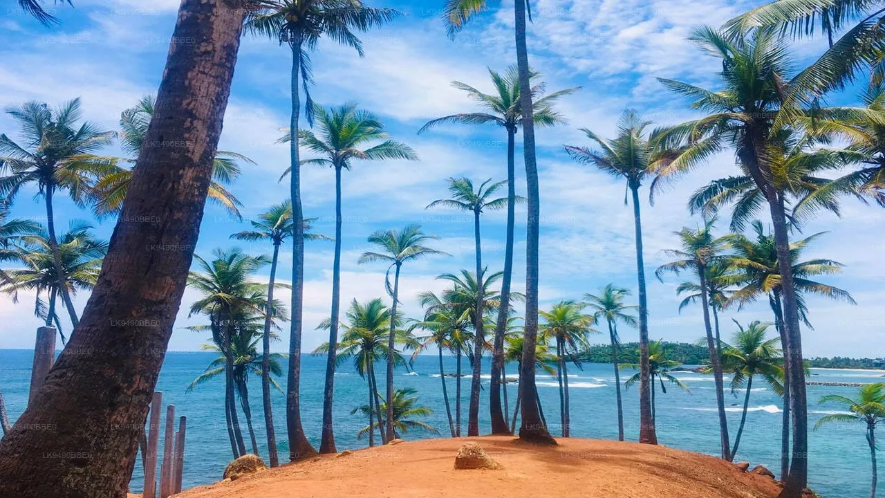 Coconut Tree Hill Mirissa, scenic landmark overlooking the ocean