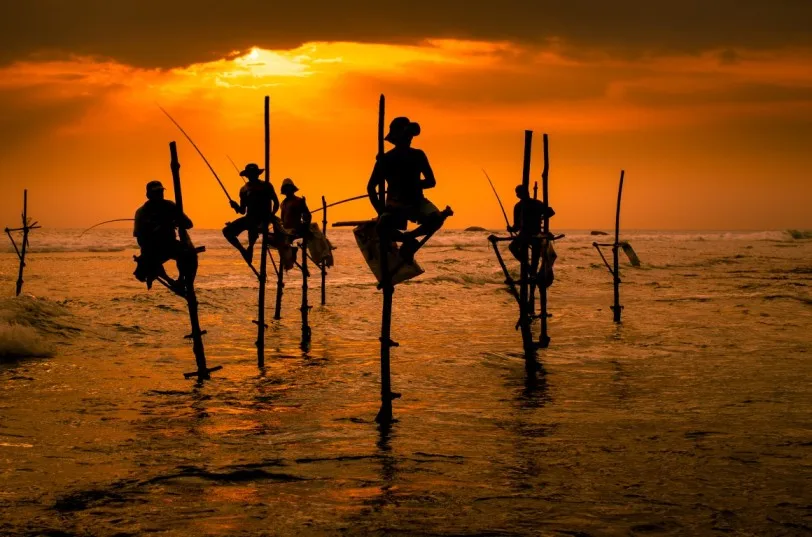 Traditional stilt fishermen at sunset along Sri Lanka coast